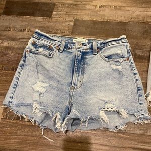 Abercrombie & Fitch Curve Love Mom Short High Rise